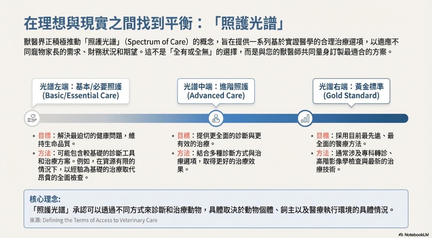 沒有最好的醫療，只有最適合的選擇圖卡 5