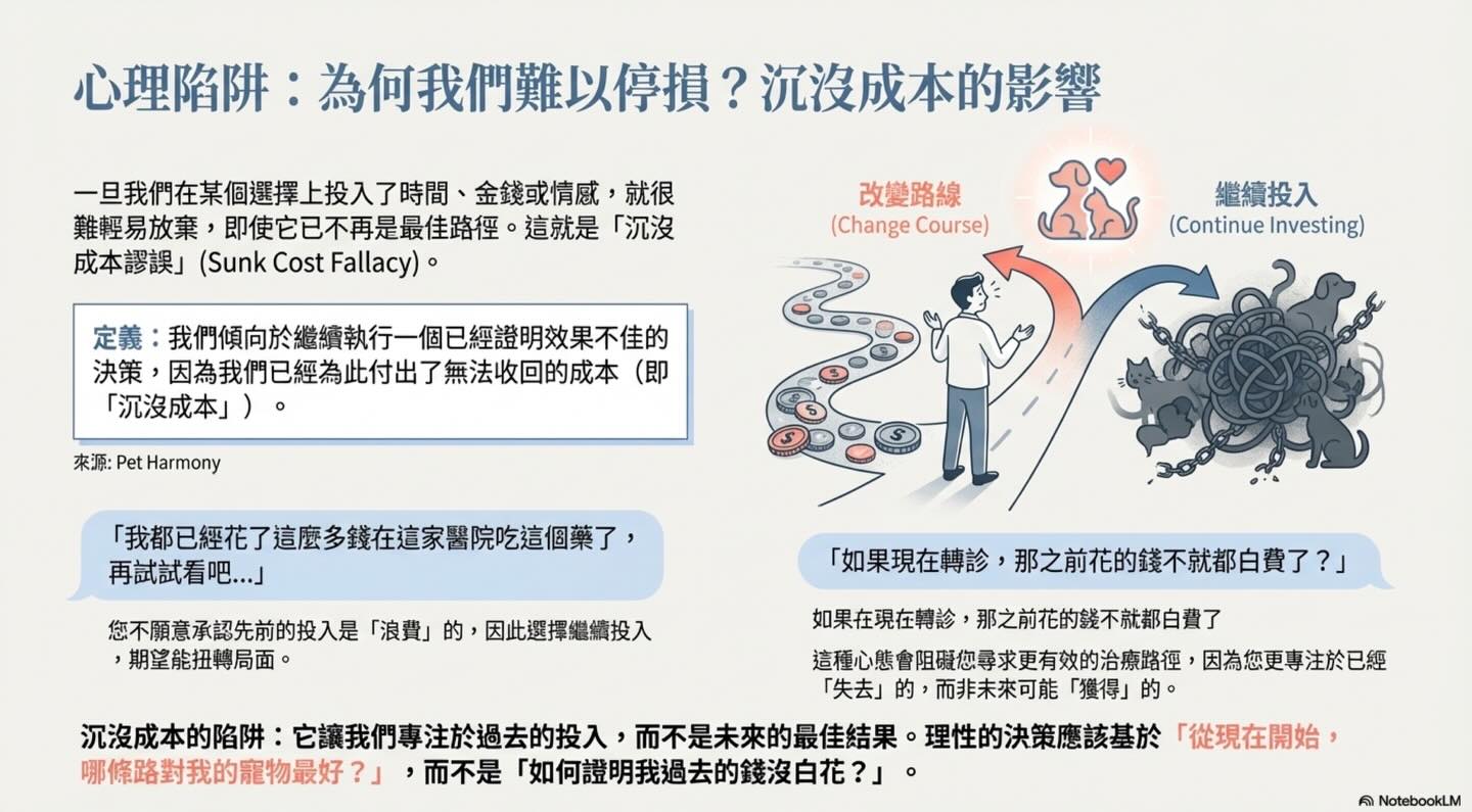 沒有最好的醫療，只有最適合的選擇圖卡 7