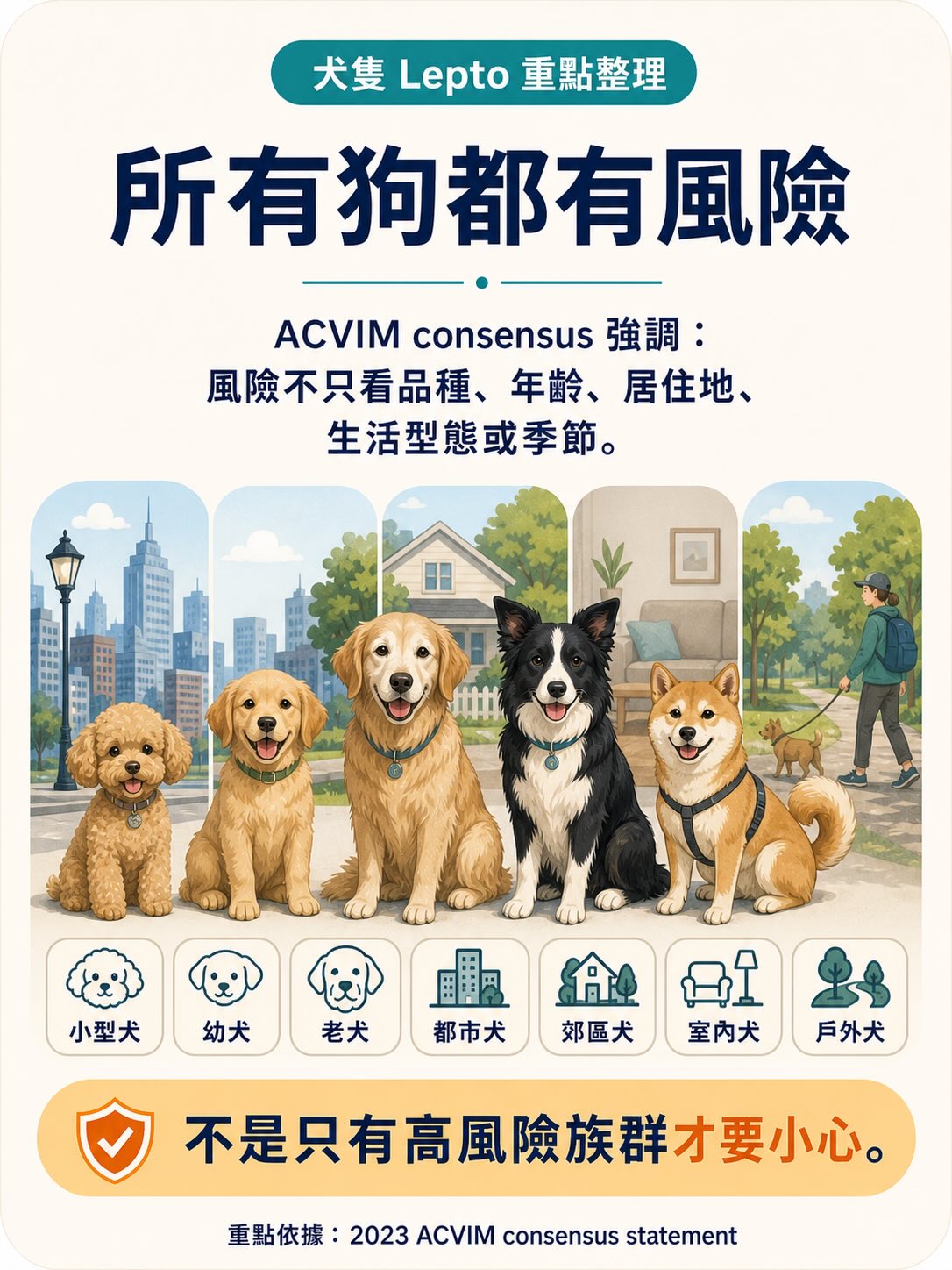 Lepto：不是只有鄉下狗才會遇到的疾病圖卡 2
