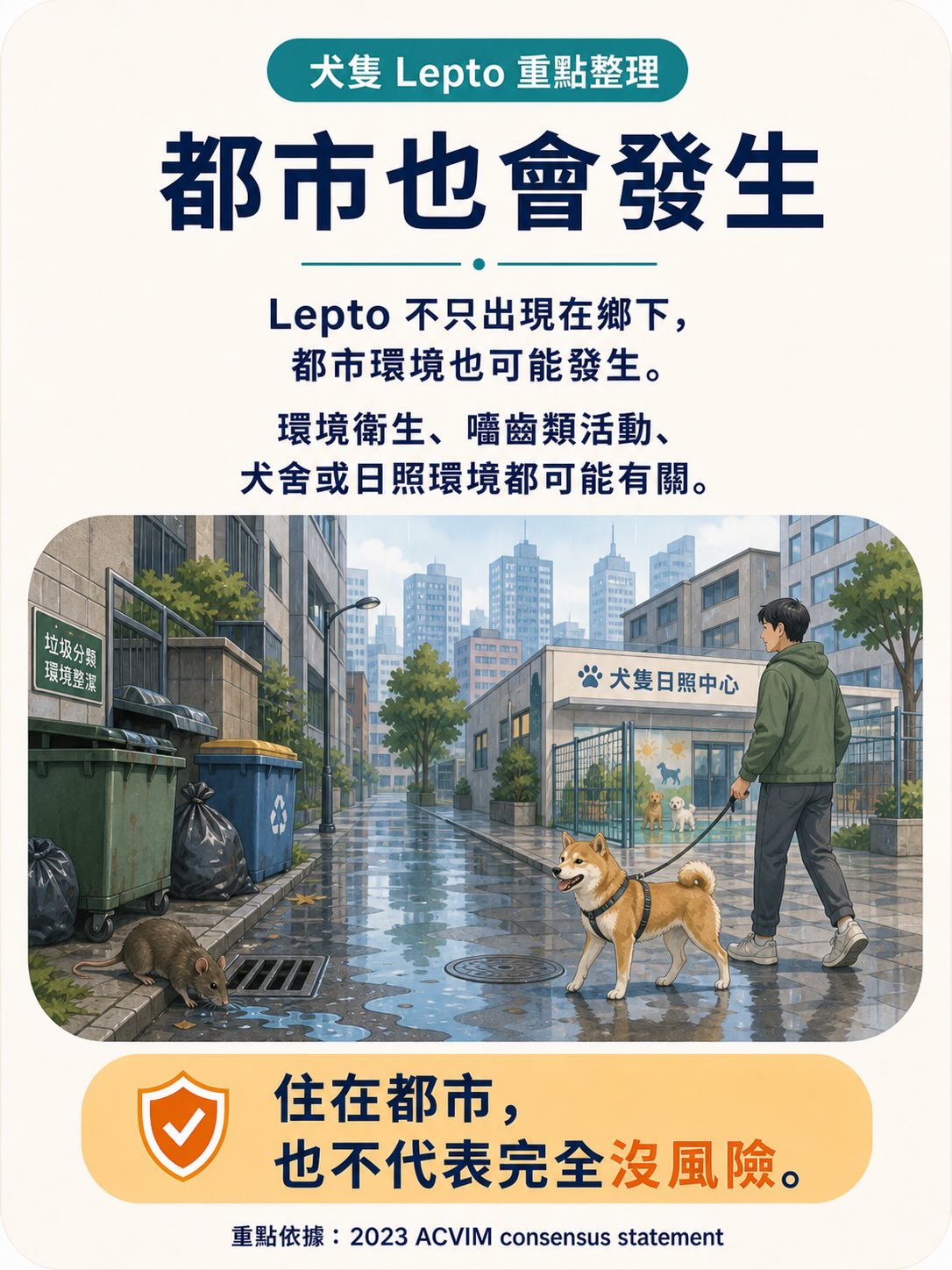 Lepto：不是只有鄉下狗才會遇到的疾病圖卡 5