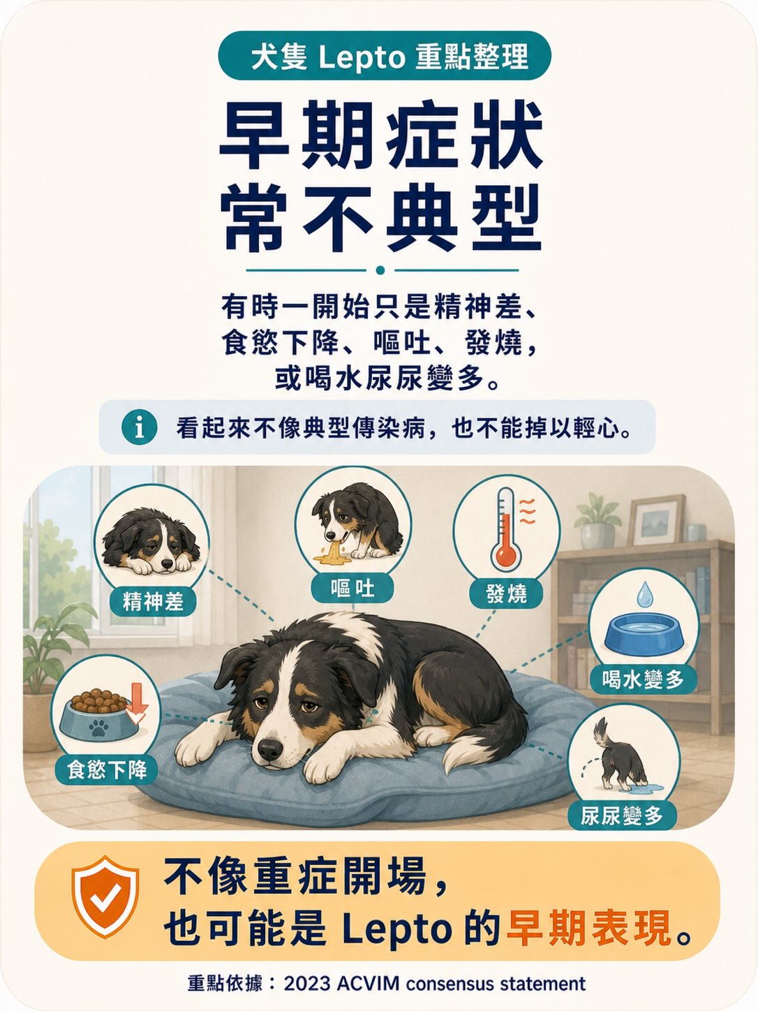Lepto：不是只有鄉下狗才會遇到的疾病圖卡 7