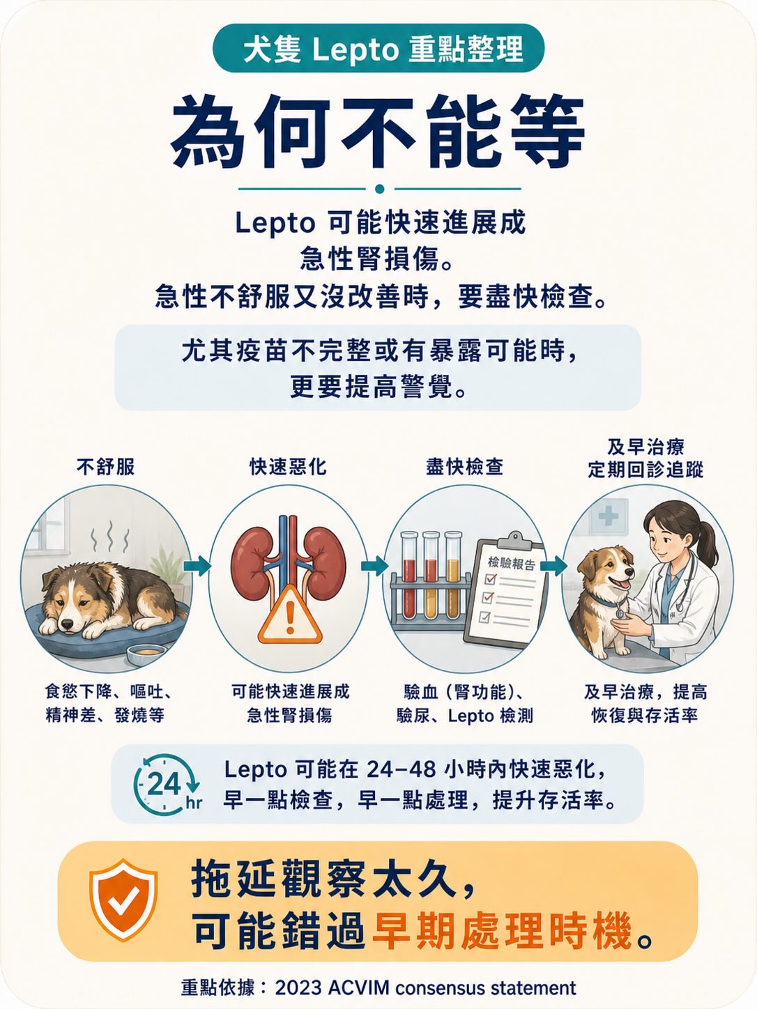 Lepto：不是只有鄉下狗才會遇到的疾病圖卡 8