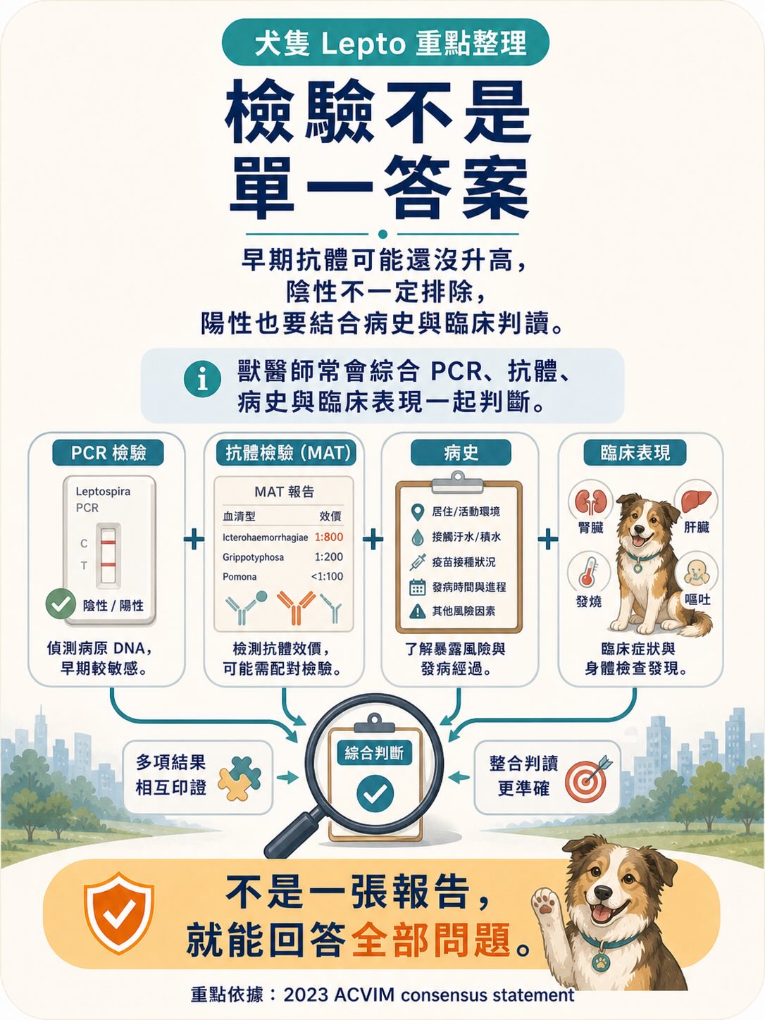 Lepto：不是只有鄉下狗才會遇到的疾病圖卡 10