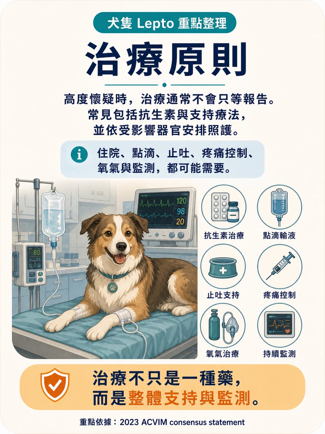 Lepto：不是只有鄉下狗才會遇到的疾病圖卡 11