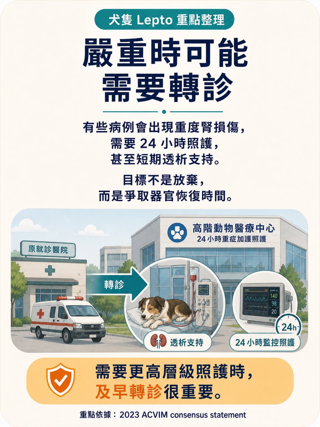 Lepto：不是只有鄉下狗才會遇到的疾病圖卡 12