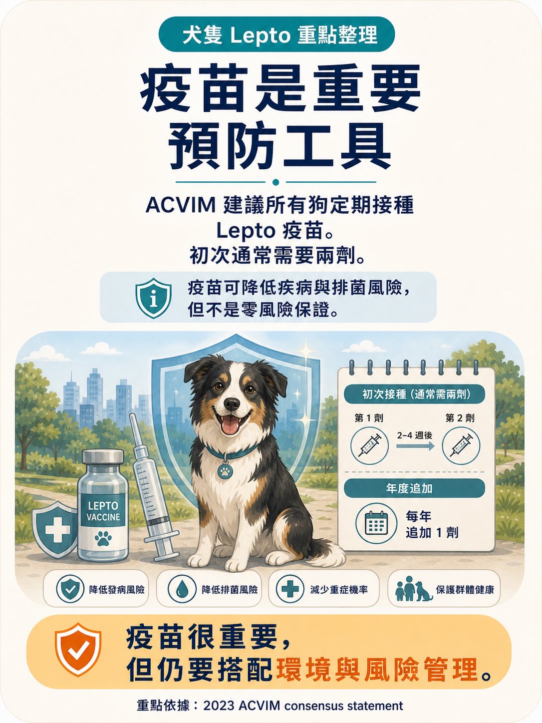 Lepto：不是只有鄉下狗才會遇到的疾病圖卡 13