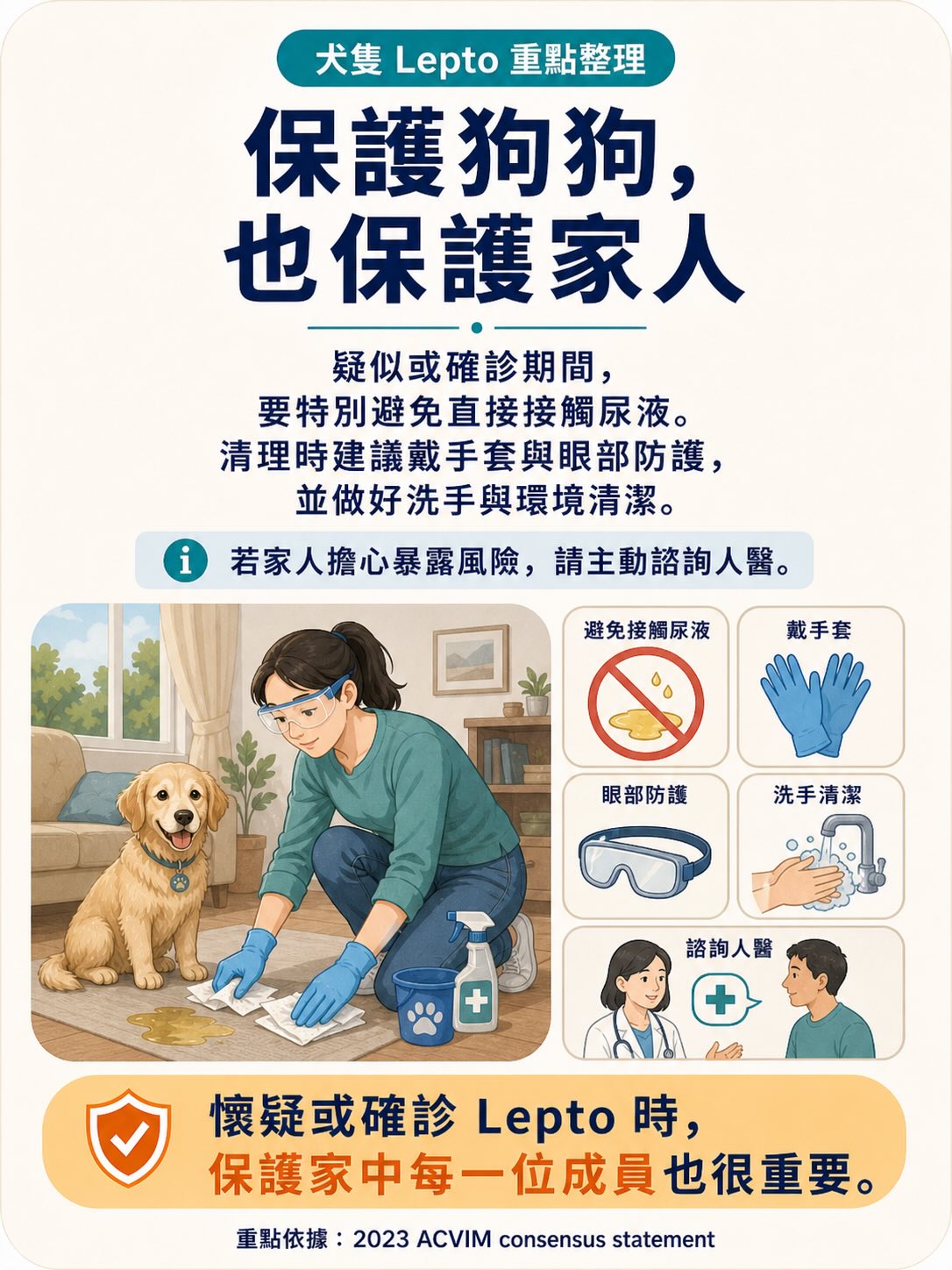 Lepto：不是只有鄉下狗才會遇到的疾病圖卡 14
