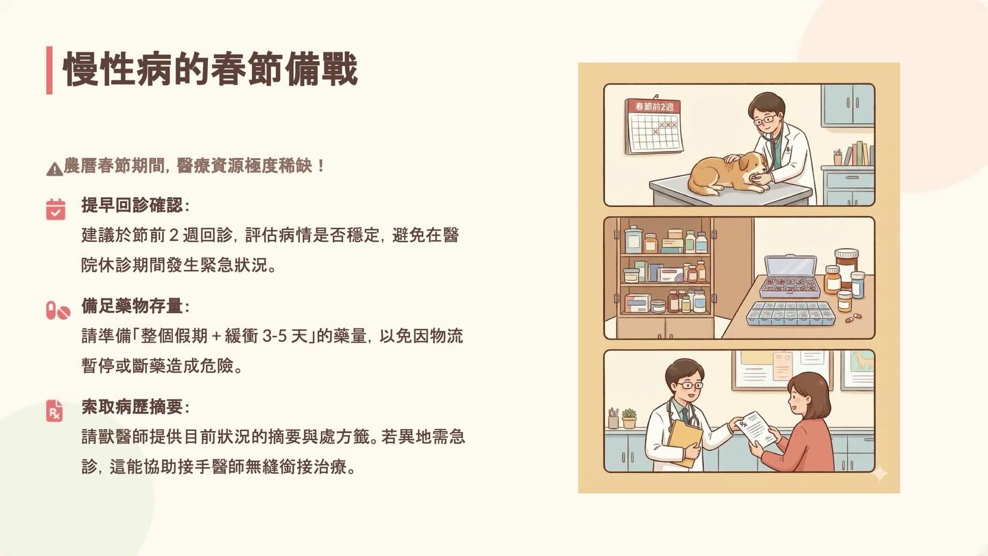 帶毛孩去旅行？無壓力假期全攻略圖卡 5