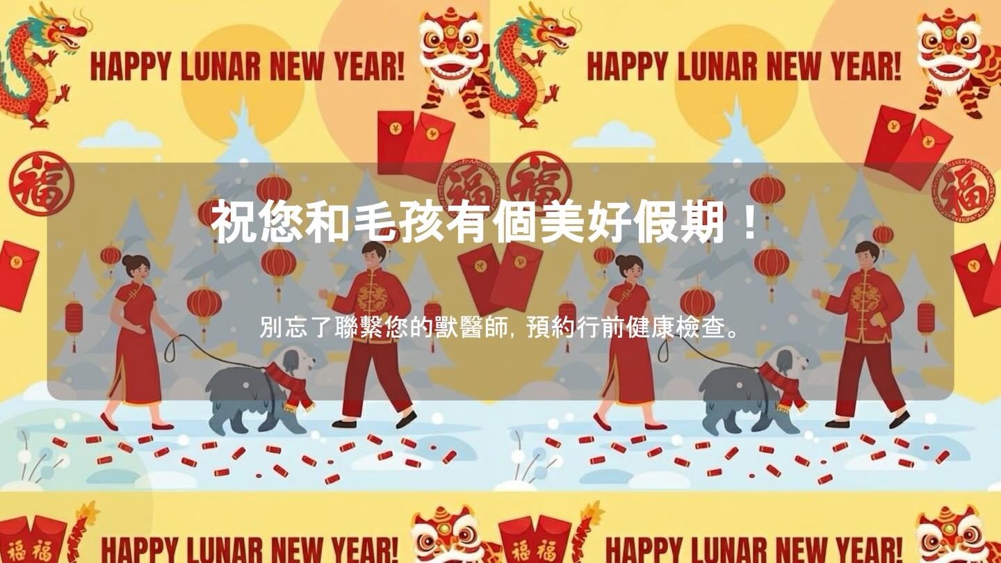帶毛孩去旅行？無壓力假期全攻略圖卡 10