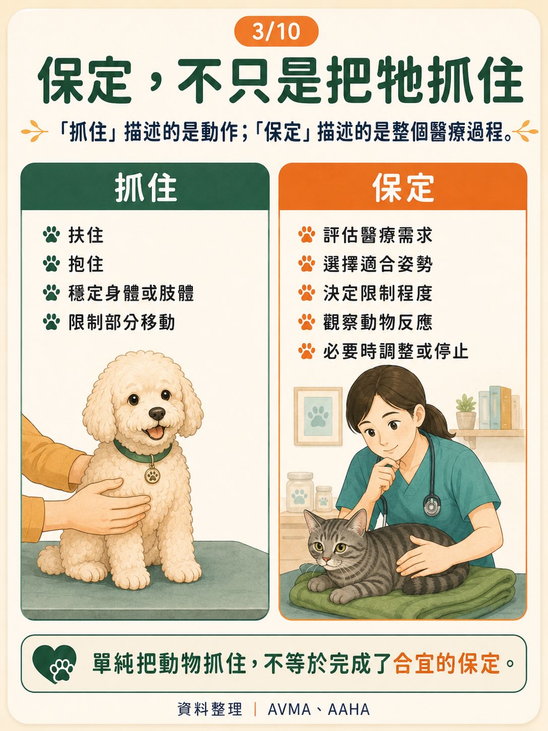 想幫毛孩安心完成檢查？先一起認識什麼是保定圖卡 3