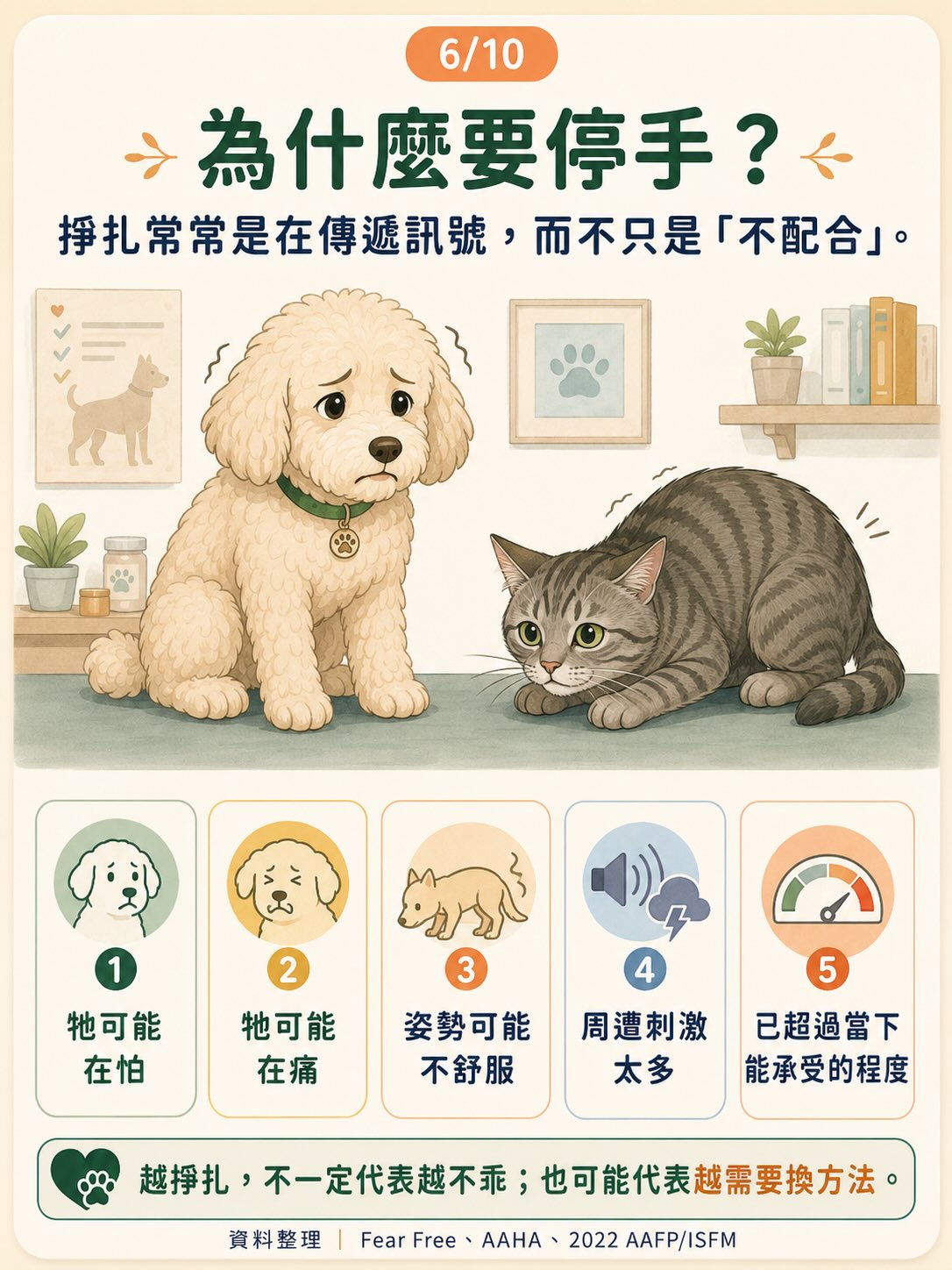 想幫毛孩安心完成檢查？先一起認識什麼是保定圖卡 6