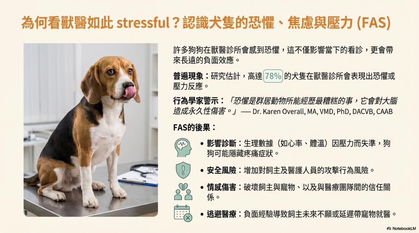 打造安心看診之旅：毛孩家長的低壓力就醫指南圖卡 2