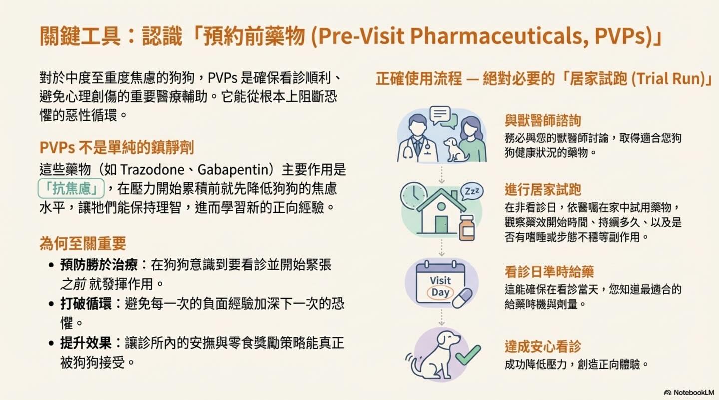 打造安心看診之旅：毛孩家長的低壓力就醫指南圖卡 7
