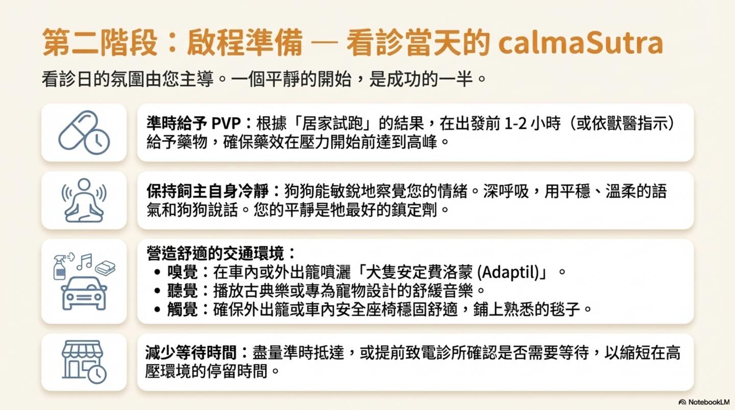 打造安心看診之旅：毛孩家長的低壓力就醫指南圖卡 8