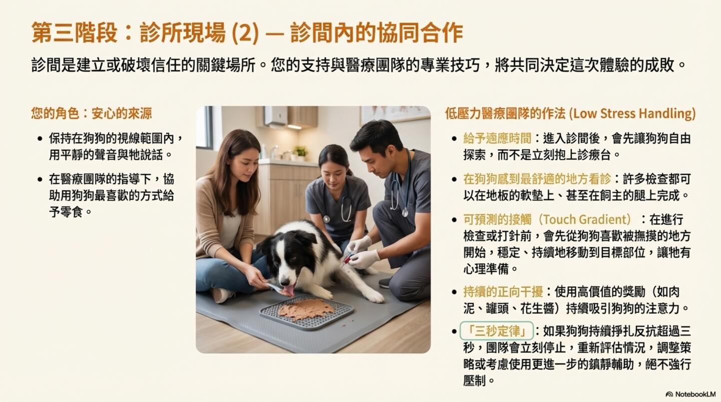 打造安心看診之旅：毛孩家長的低壓力就醫指南圖卡 10