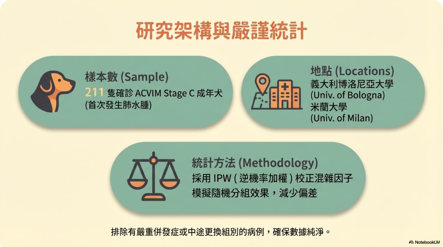 MMVD Stage C｜藥物治療策略圖卡 3：研究架構與嚴謹統計