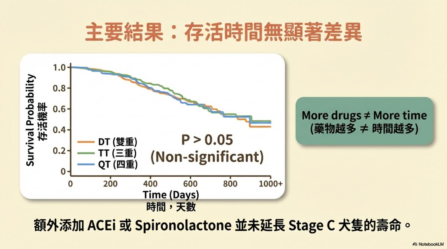 MMVD Stage C｜藥物治療策略圖卡 6：主要結果：存活時間無顯著差異