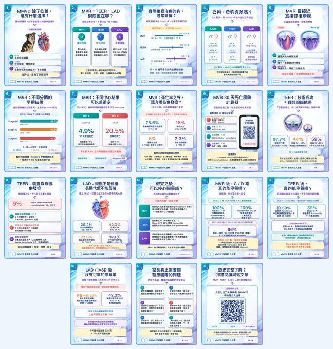 犬 MMVD 手術與介入治療系列的 18 張手機圖卡縮圖預覽