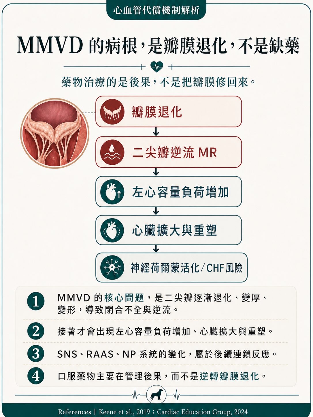 MMVD｜治療與介入時機圖卡 2：MMVD 的病根，是瓣膜退化，不是缺藥