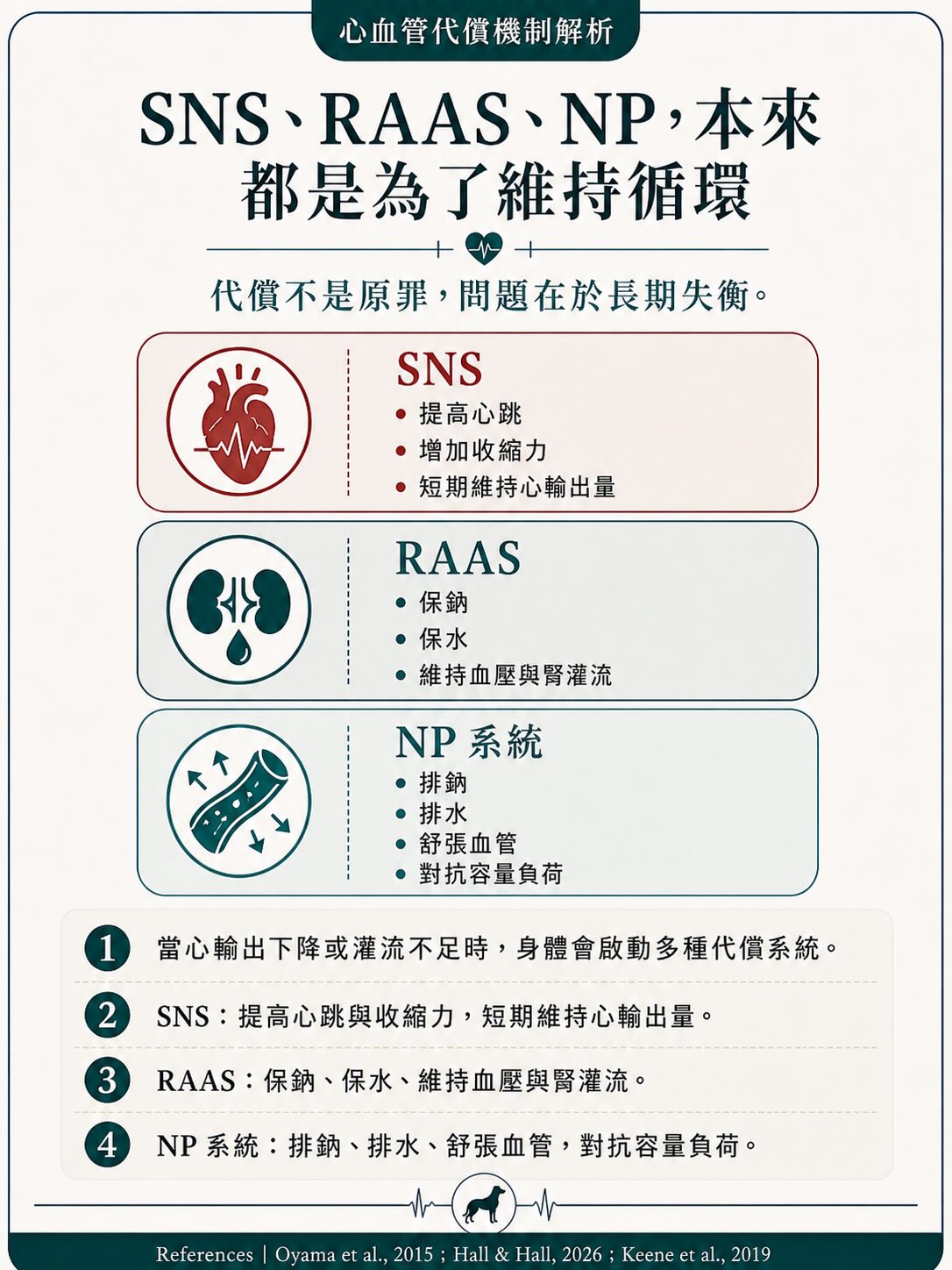 MMVD｜治療與介入時機圖卡 5：SNS、RAAS、NP，本來都是為了維持循環