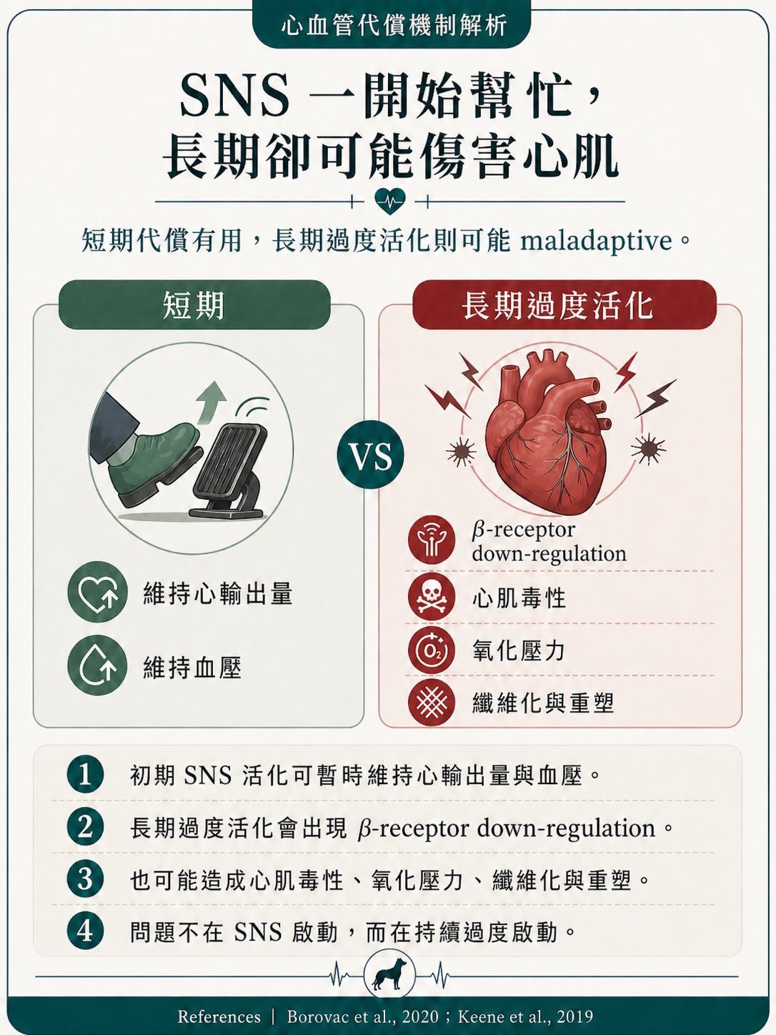 MMVD｜治療與介入時機圖卡 6：SNS 一開始幫忙，長期卻可能傷害心肌