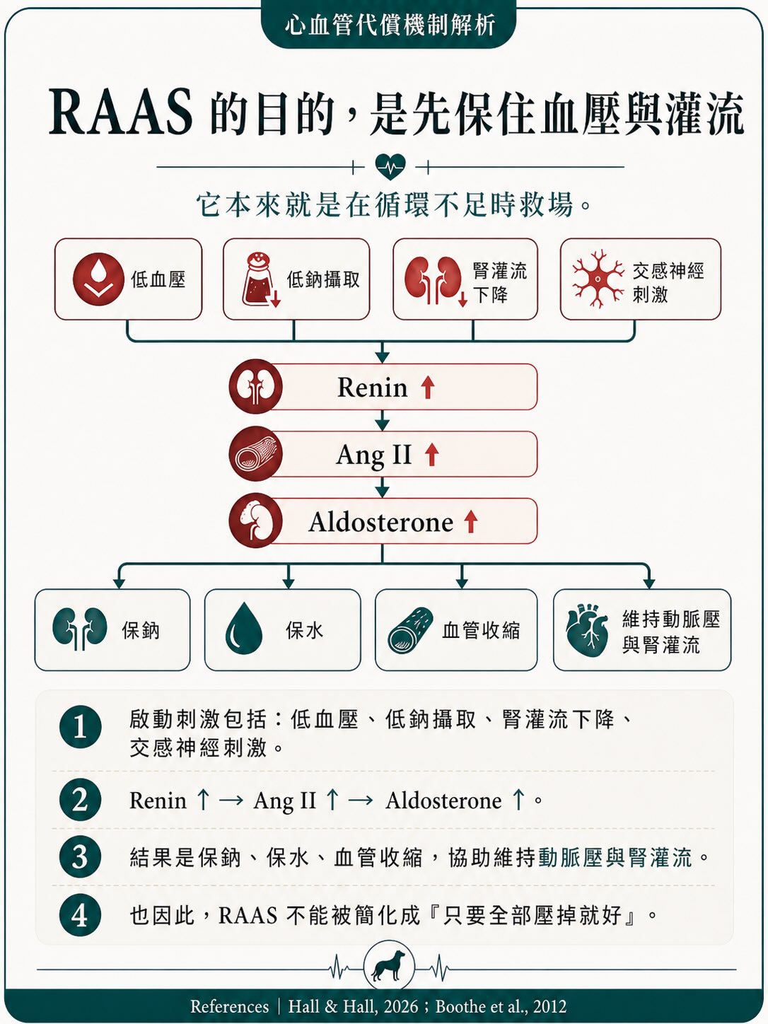 MMVD｜治療與介入時機圖卡 7：RAAS 的目的是先保住血壓與灌流