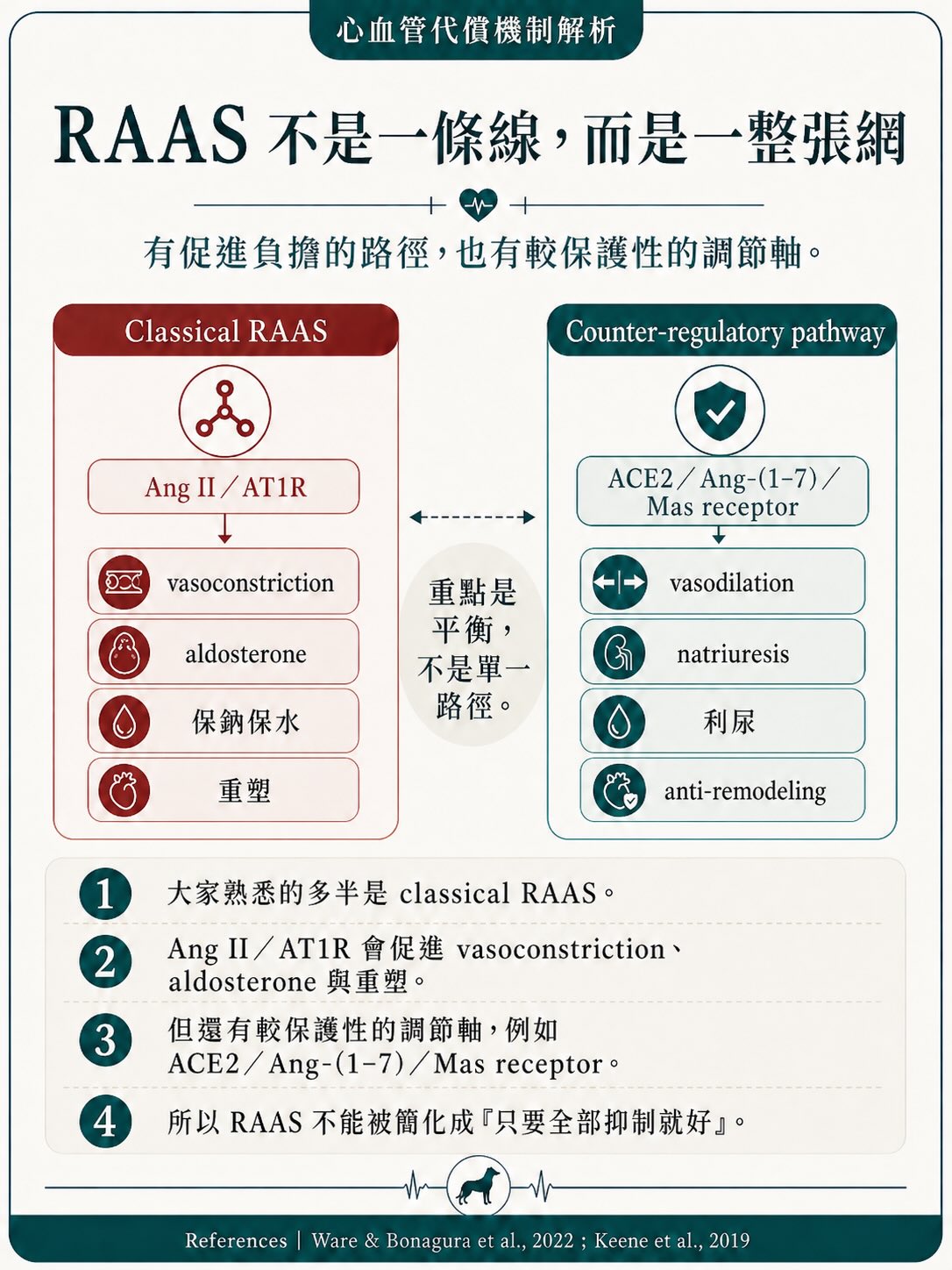 MMVD｜治療與介入時機圖卡 8：RAAS 不是一條線，而是一整張網