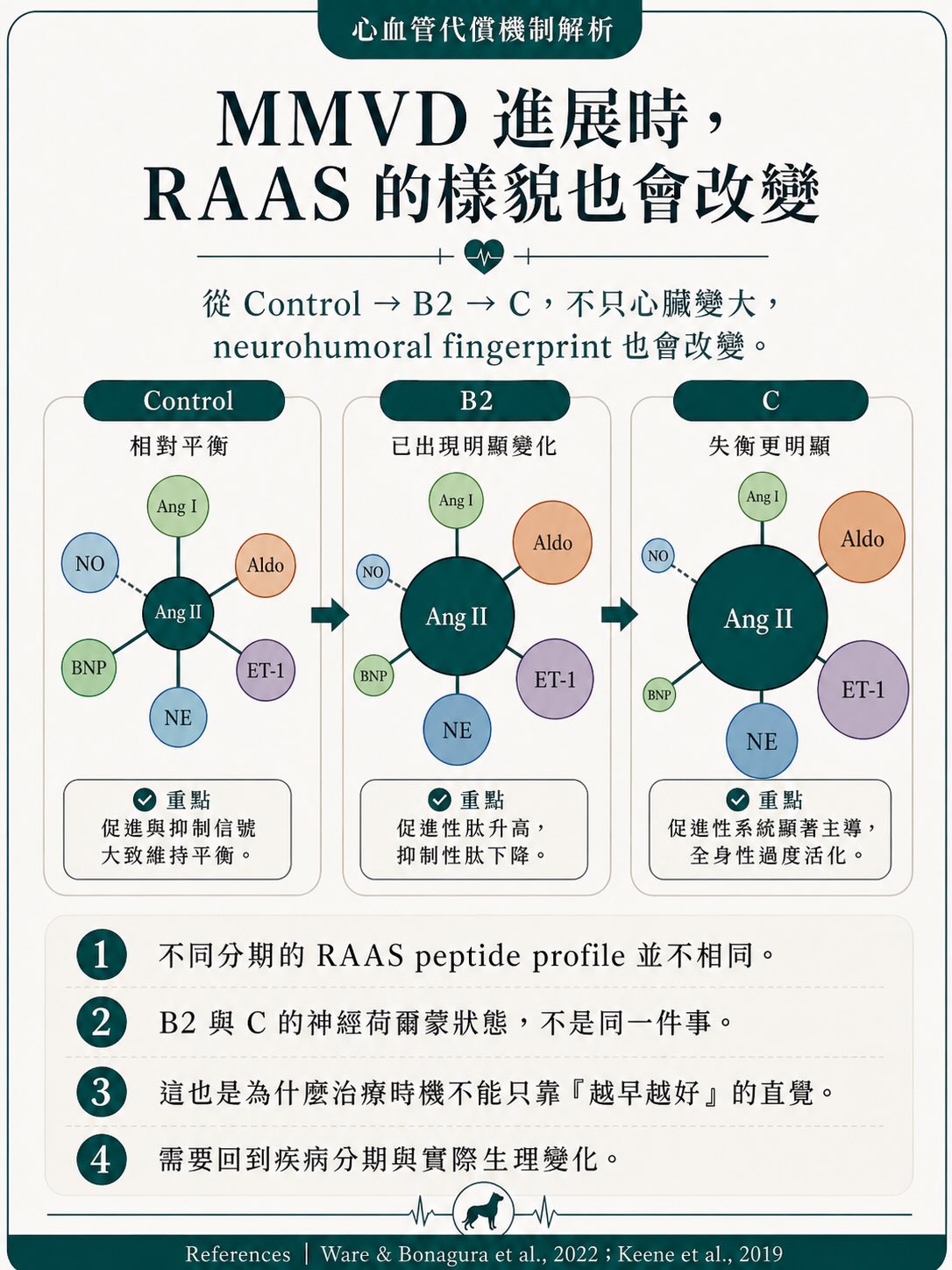 MMVD｜治療與介入時機圖卡 9：MMVD 進展時，RAAS 的樣貌也會改變