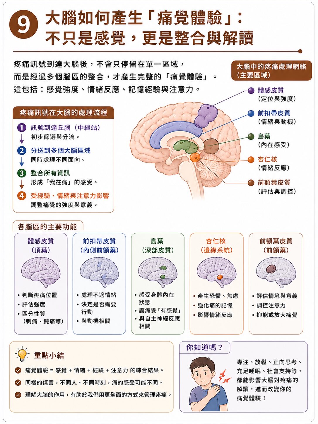 疼痛不是從傷口開始，而是在大腦完成圖卡 9