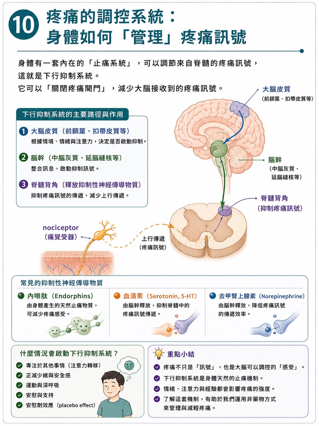 疼痛不是從傷口開始，而是在大腦完成圖卡 10