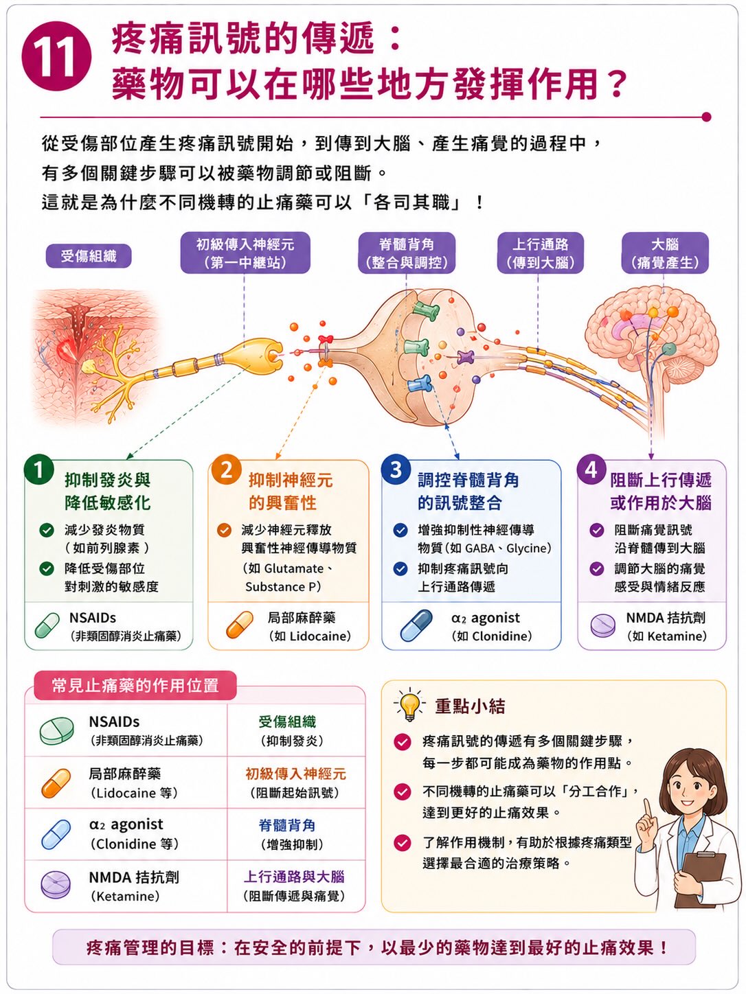 疼痛不是從傷口開始，而是在大腦完成圖卡 11