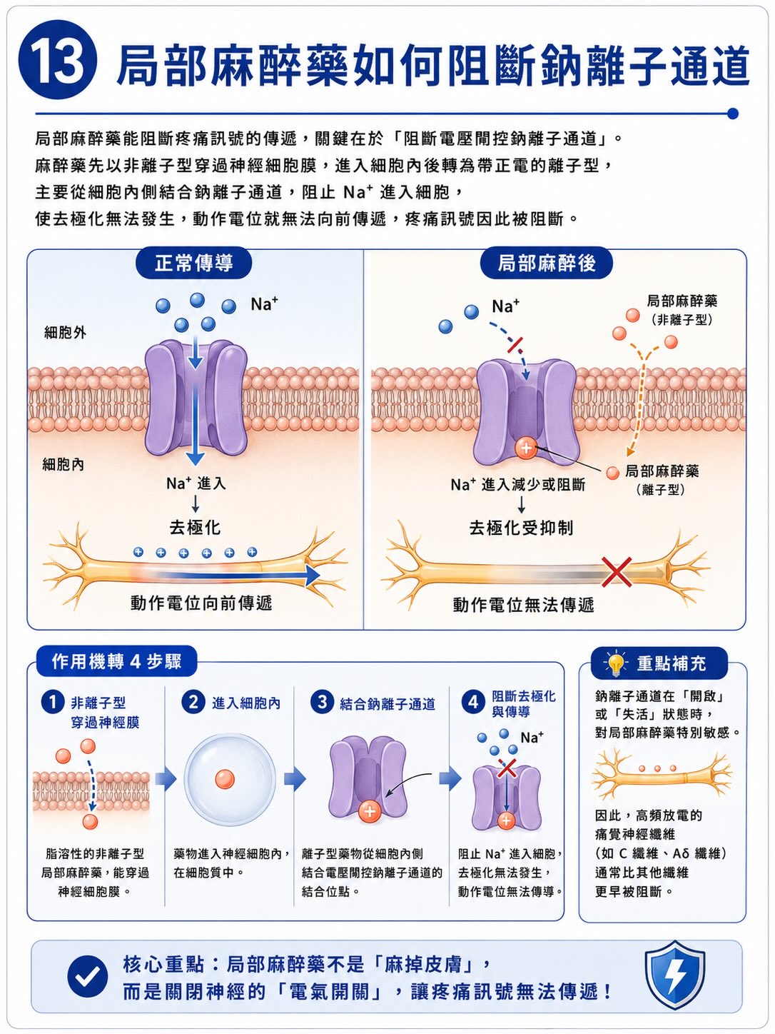 疼痛不是從傷口開始，而是在大腦完成圖卡 13