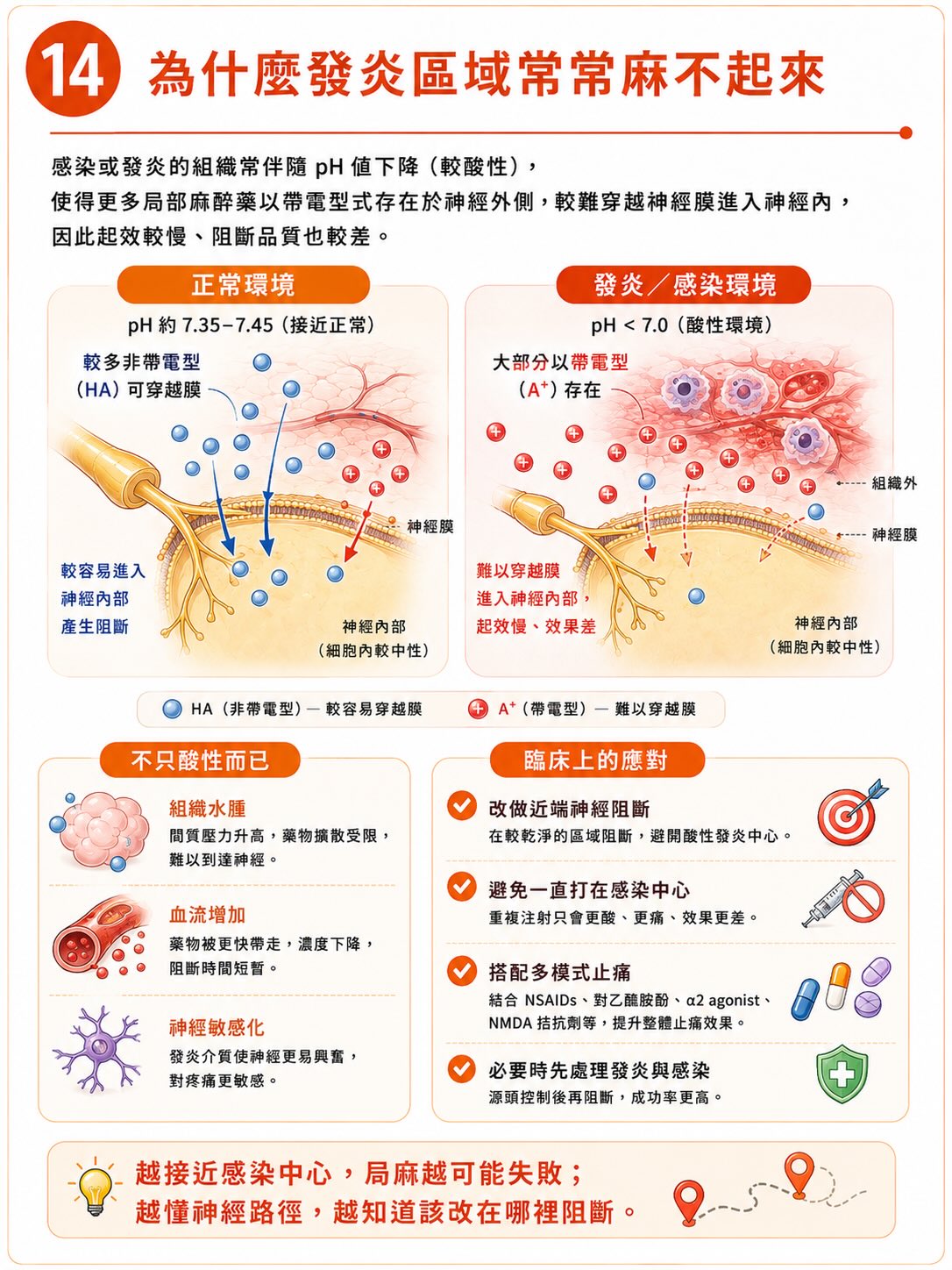 疼痛不是從傷口開始，而是在大腦完成圖卡 14