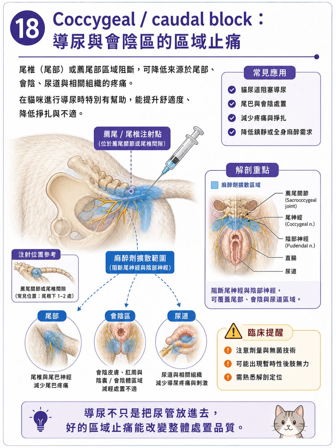 疼痛不是從傷口開始，而是在大腦完成圖卡 18