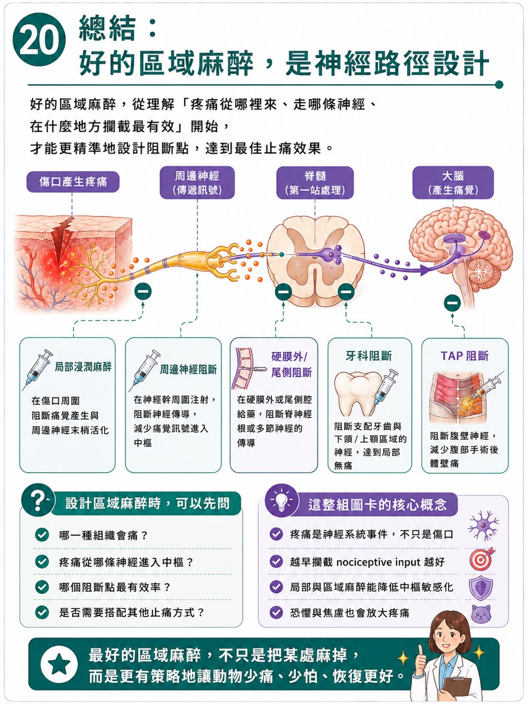 疼痛不是從傷口開始，而是在大腦完成圖卡 20