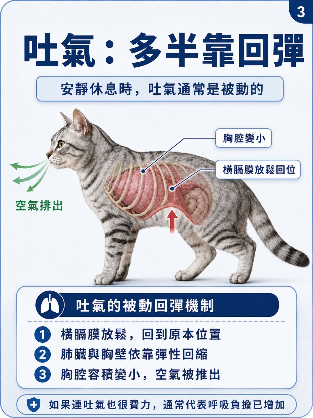 從正常呼吸，到矛盾式呼吸圖卡 3