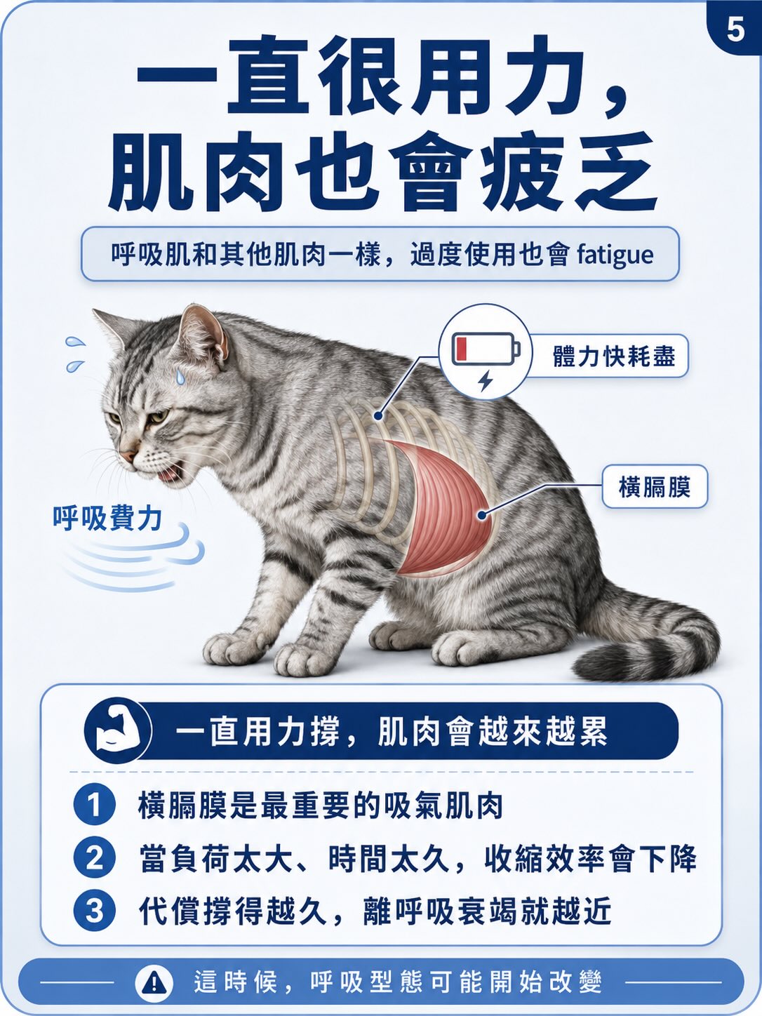 從正常呼吸，到矛盾式呼吸圖卡 5