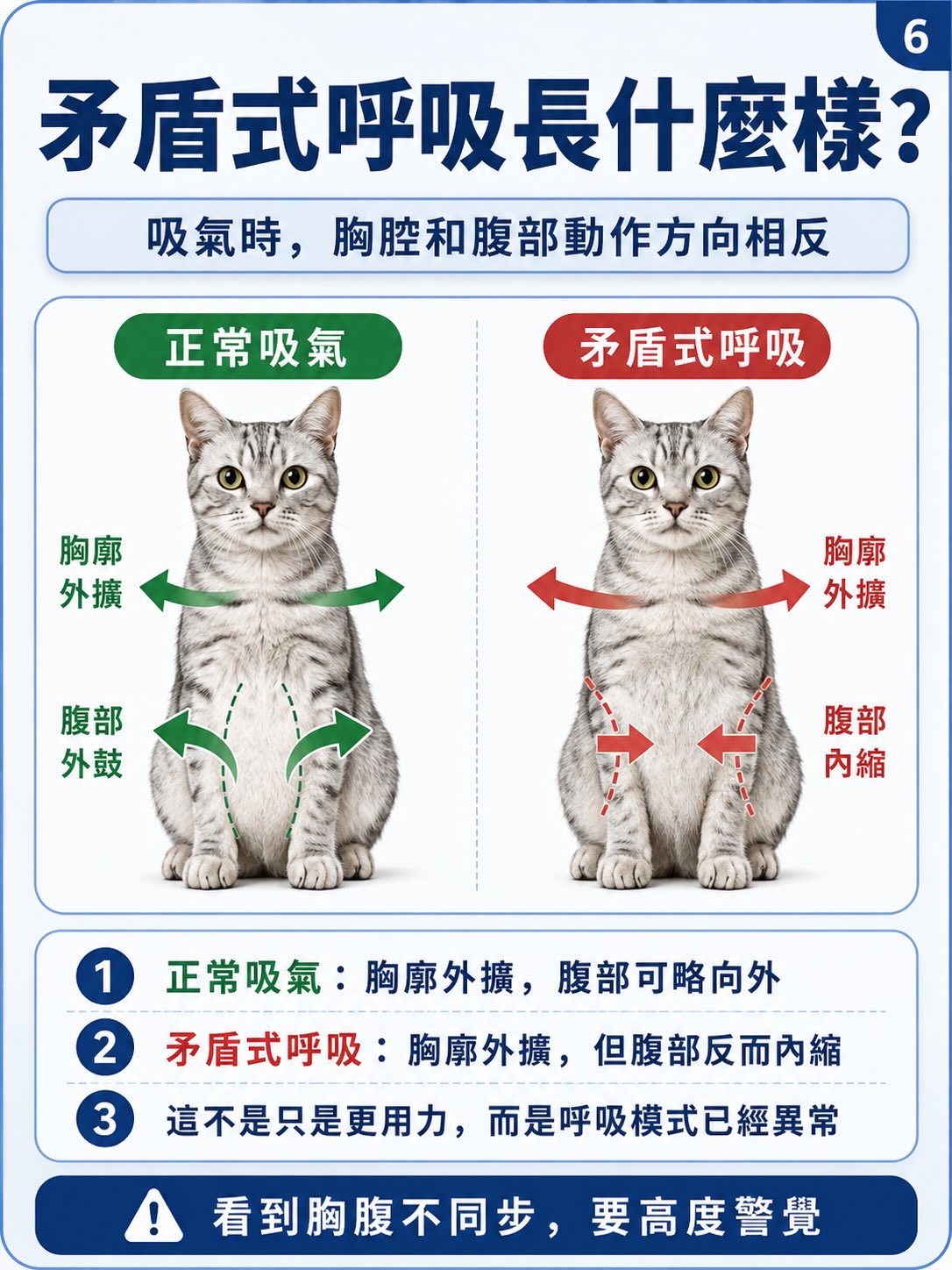 從正常呼吸，到矛盾式呼吸圖卡 6