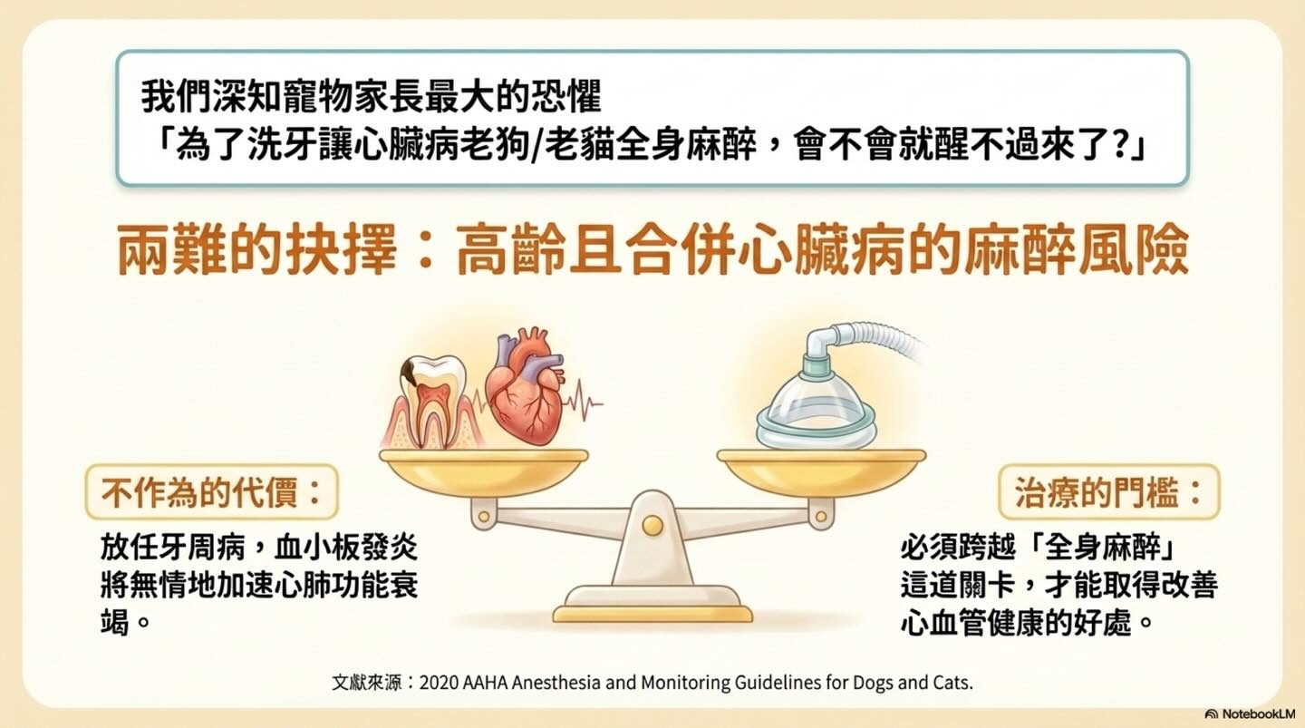 隱藏在牙齦下的心血管危機與麻醉抉擇圖卡 9