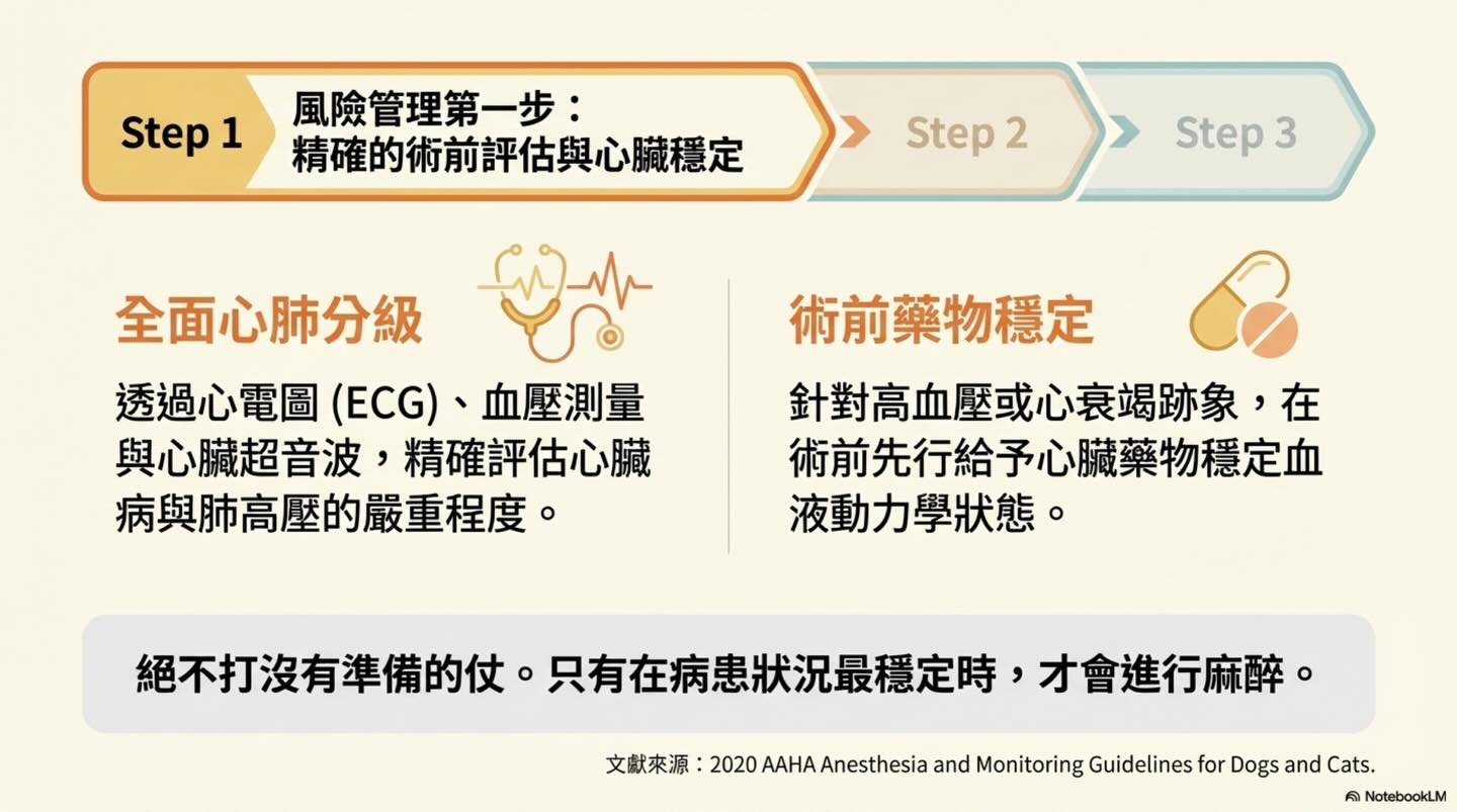 隱藏在牙齦下的心血管危機與麻醉抉擇圖卡 11