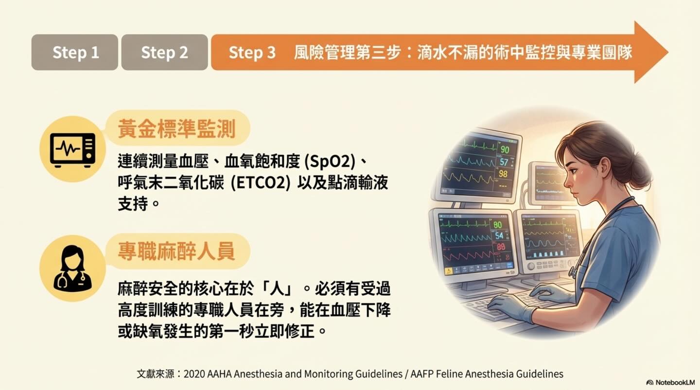隱藏在牙齦下的心血管危機與麻醉抉擇圖卡 13