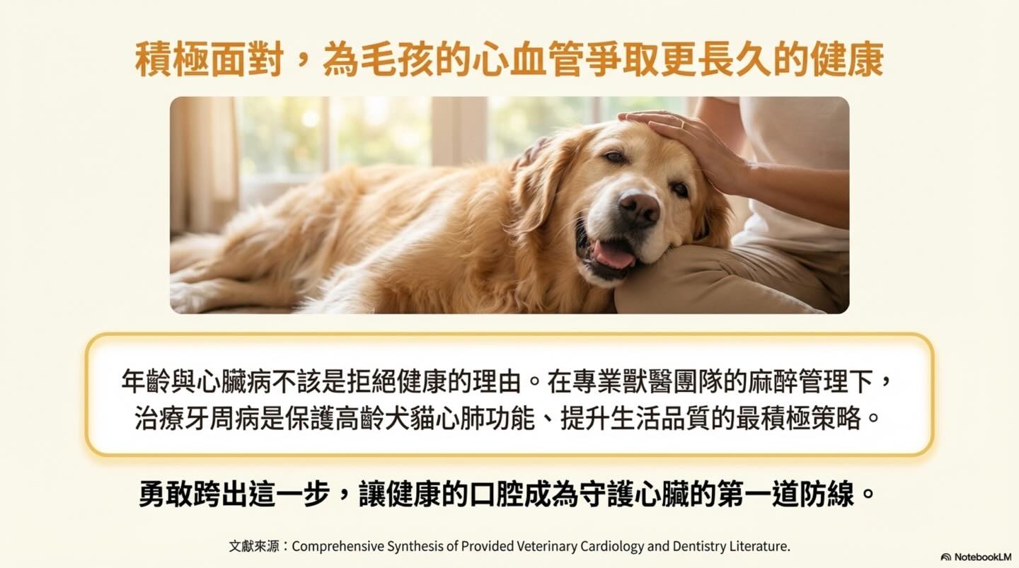 隱藏在牙齦下的心血管危機與麻醉抉擇圖卡 15