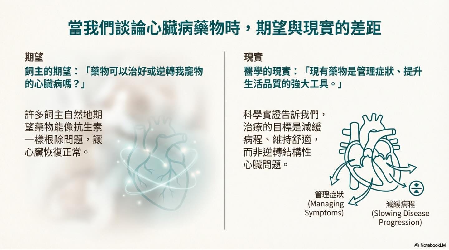 寵物心臟病照護：我們的目標是管理，而非治癒圖卡 2