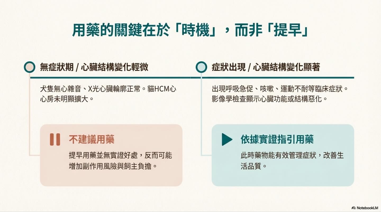 寵物心臟病照護：我們的目標是管理，而非治癒圖卡 4