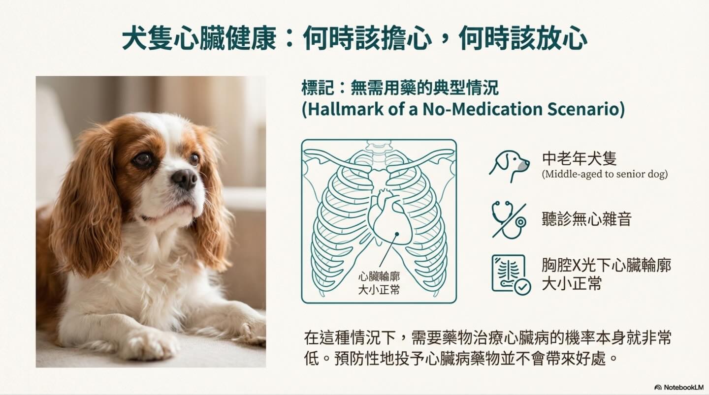 寵物心臟病照護：我們的目標是管理，而非治癒圖卡 5