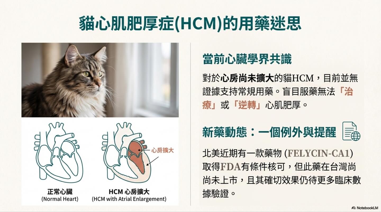 寵物心臟病照護：我們的目標是管理，而非治癒圖卡 6