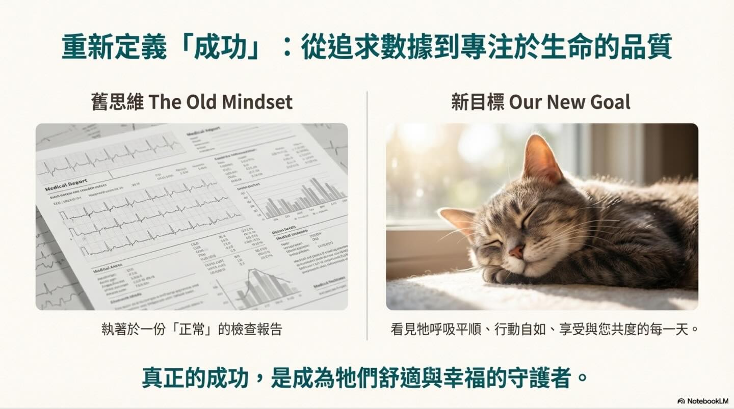 寵物心臟病照護：我們的目標是管理，而非治癒圖卡 7