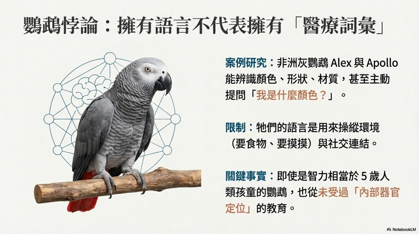 寵物溝通 vs 醫療診斷：內覺、語言與臨床資訊圖卡 3