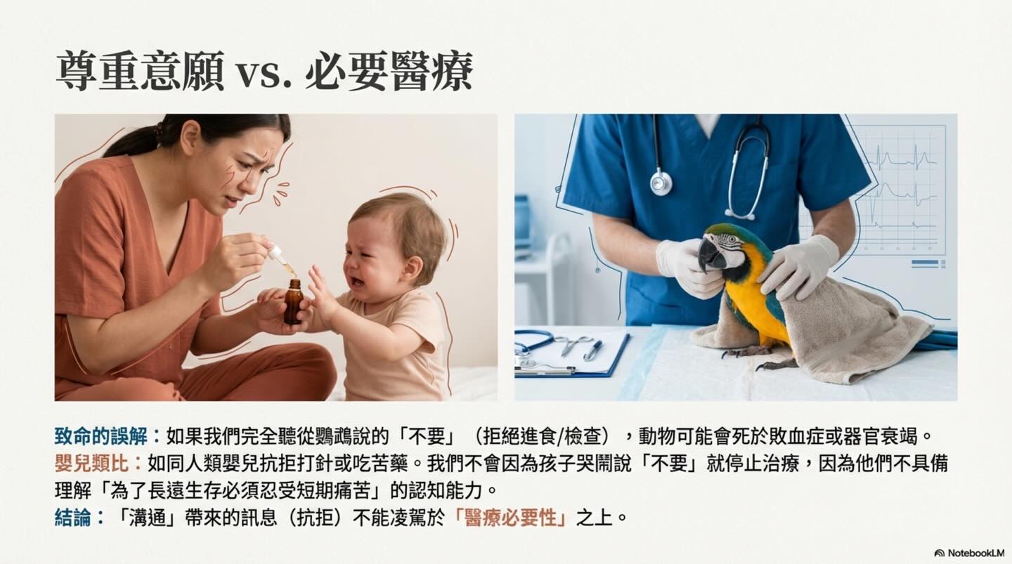 寵物溝通 vs 醫療診斷：內覺、語言與臨床資訊圖卡 5