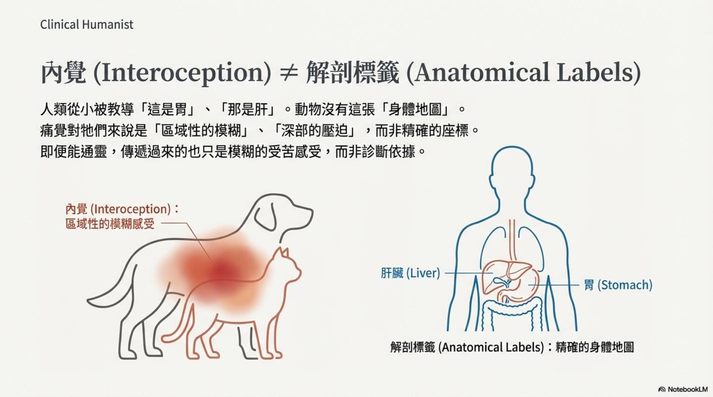 寵物溝通 vs 醫療診斷：內覺、語言與臨床資訊圖卡 6